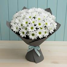 Букет цветов из:  Хризантемы #REPLACE_PRED# Орле